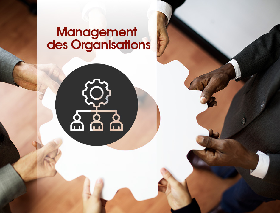 Management des Organisations